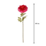 V.PEONIA X1 GIGANTE *FUXIA