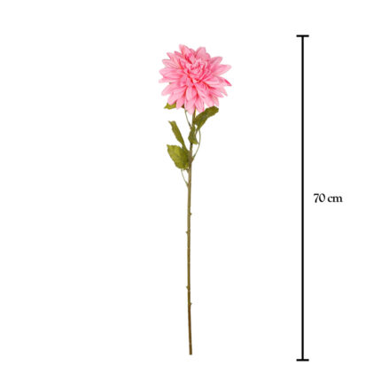 VARA ZINNIA