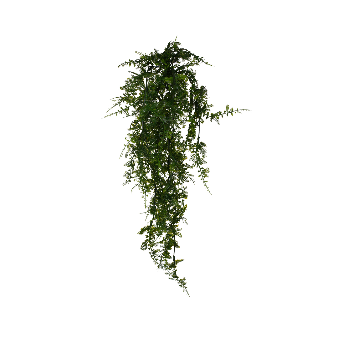 AD0786-19.jpg MATA ESPARRAGUERA 60CM