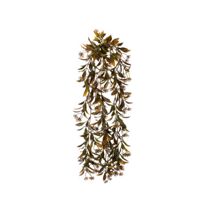 BROTES COLGANTES