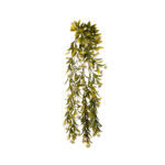 BROTES COLGANTES