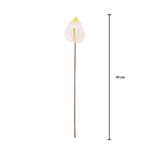 VARA CALA 90CM