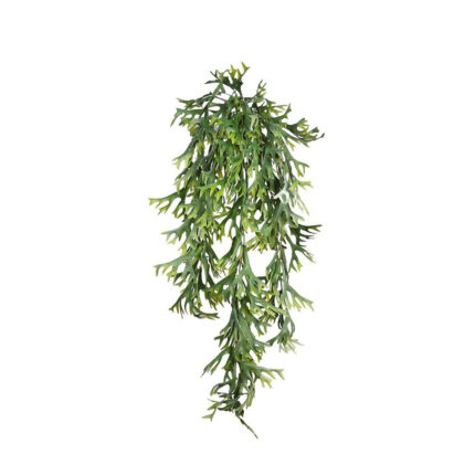 CUERNO DE ARCE 80CM