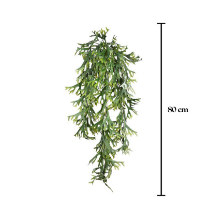 CUERNO DE ARCE 80CM