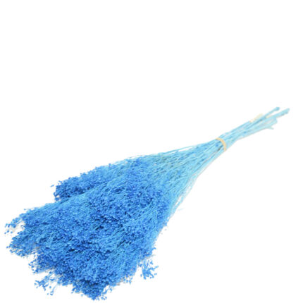 BROOMS PRESS.