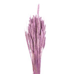TRIGO FLO