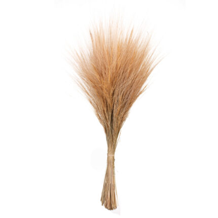 BARBA PRESS