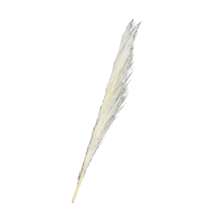 UVA STALK 180CM (00) *BLANCO