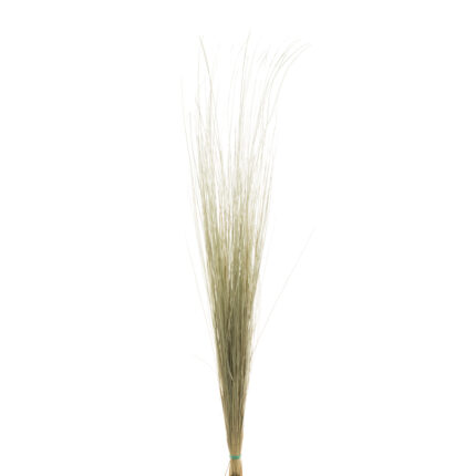 BRIGHT GRASS PRESS (01) *NATURAL