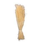 AGROSTIS