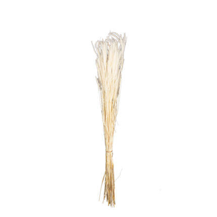 OURO 60CM (00) *BLANCO