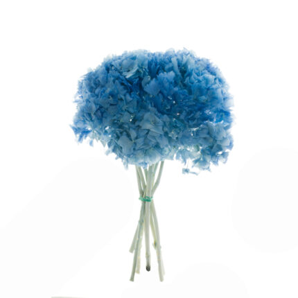 HYDRANGEA PRES
