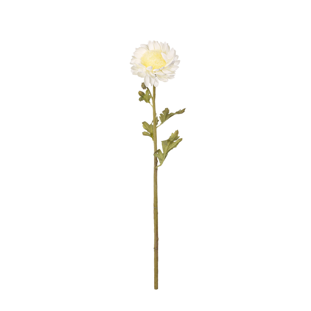 012311-0.jpg VARA GIRASOL (0) *BLANCO