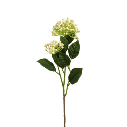 BERRY (0) *BLANCO