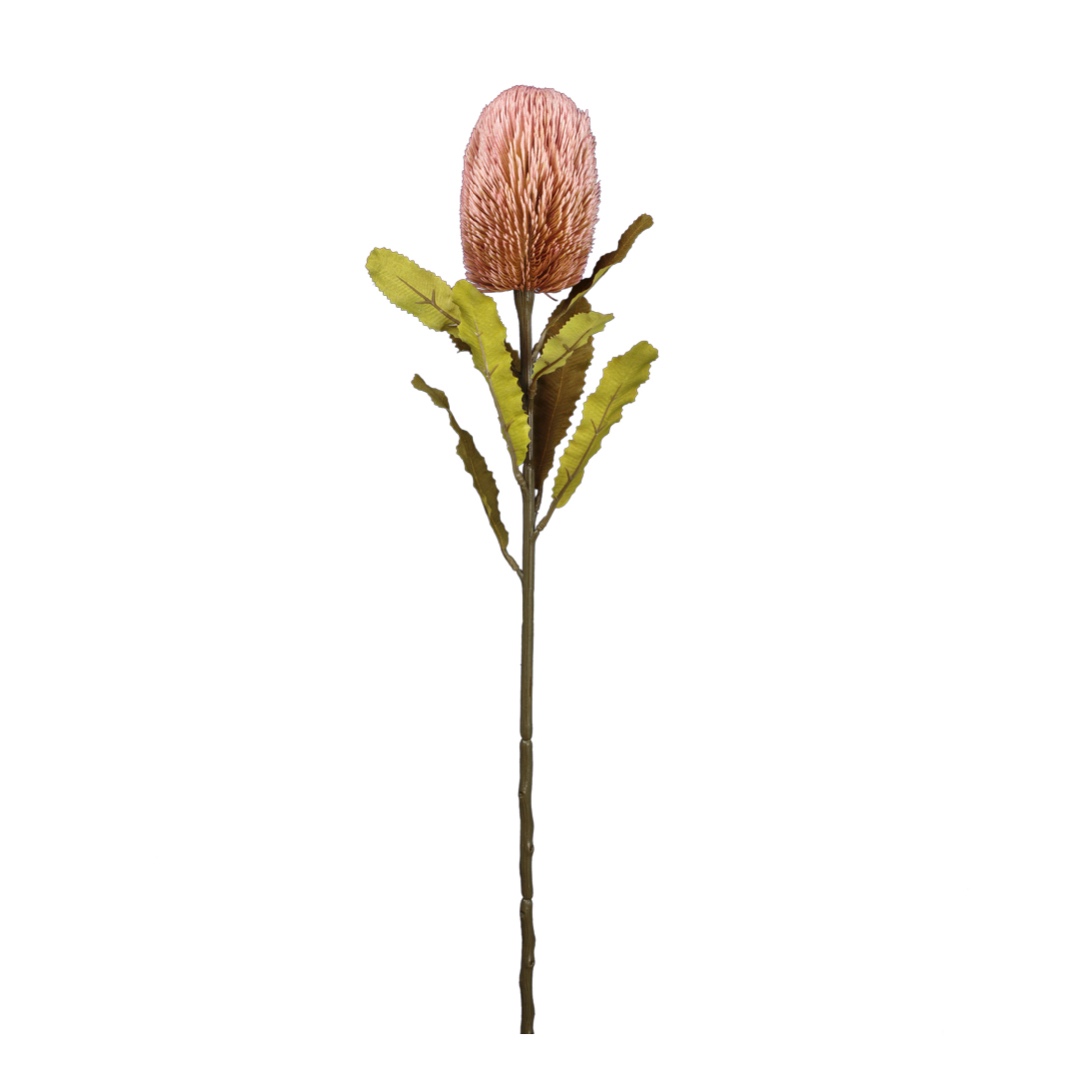 012640-16.jpg VARA BANKSIA (2) *ROSA