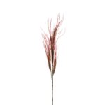 VARA ONION GRASS (2) *ROSA
