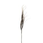 VARA ONION GRASS