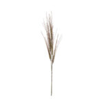 VARA ONION GRASS