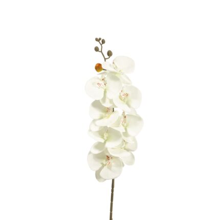 VARA ORQUIDEA X8 (0) *BLANCO