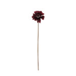 VARA GERBERA