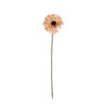VARA GERBERA