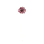 VARA GERBERA