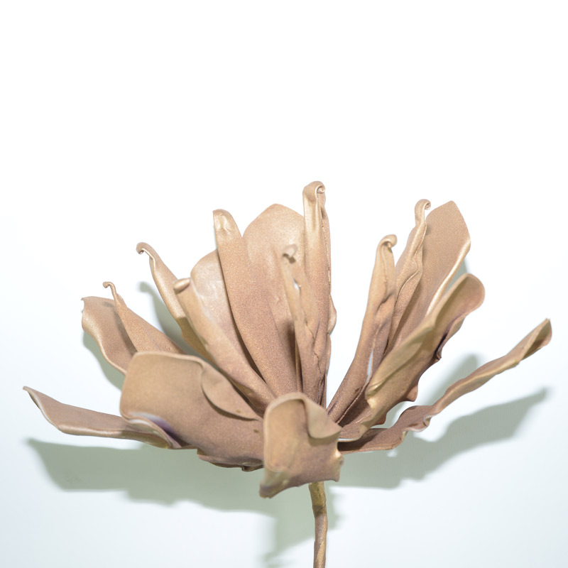 11334-13.JPG DALIA *ORO