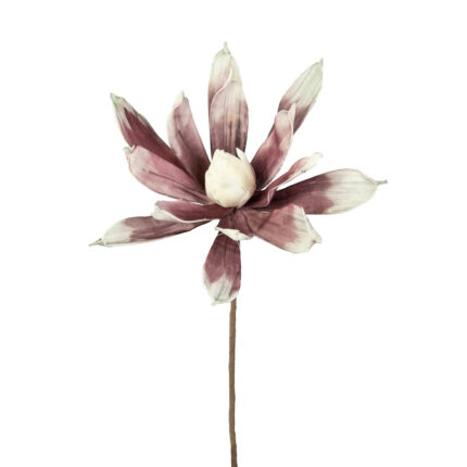 PROTEA