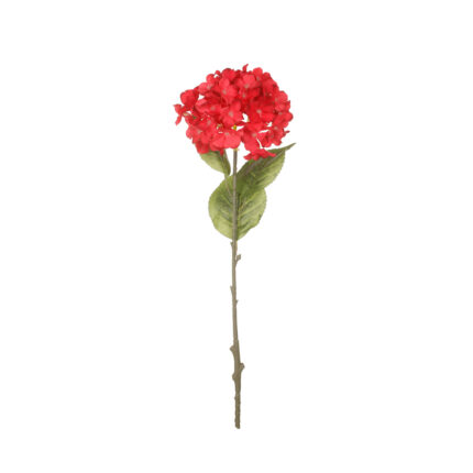 VARA HORTENSIA