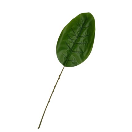 HOJA