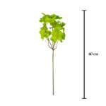 VARA TRIFOLIUM