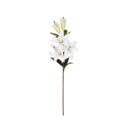 V.LILIUM LUX