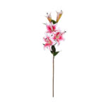 V.LILIUM LUX