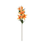 V.LILIUM LUX