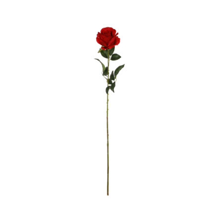 ROSA X1 75CM -ROJO