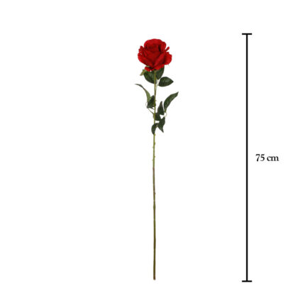 ROSA X1 75CM -ROJO