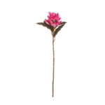 VARA MAGNOLIA *FUXIA
