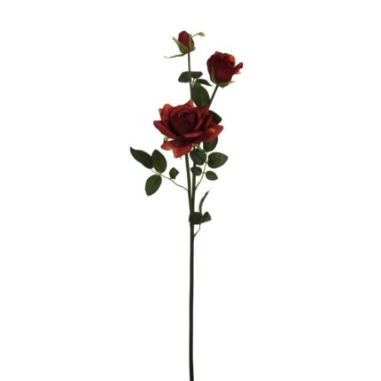 VARA ROSA *BURDEOS