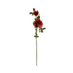 VARA ROSA
