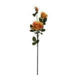 VARA ROSA