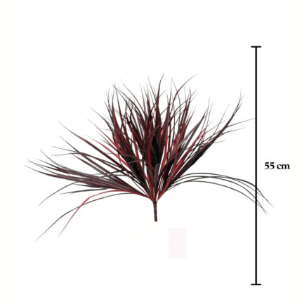 MATA BUSH GRASS (18) *BURDEOS