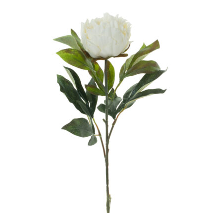 VARA PEONIA *BLANCO