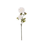V.DALIA OTOÑAL X3 *BLANCO