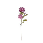 V.DALIA OTOÑAL X3