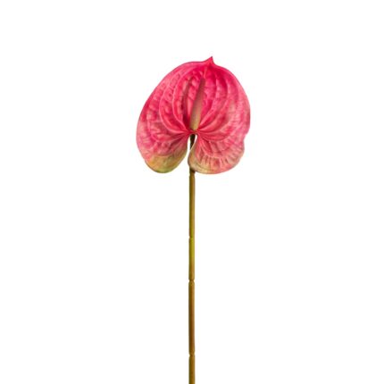 VARA ANTHURIUM REAL PQÑ 65CM *ROSA
