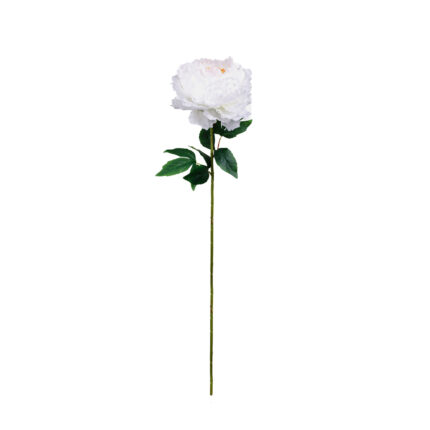 VARA PEONYA 80CM *FUXIA