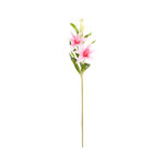 VARA LILIUM