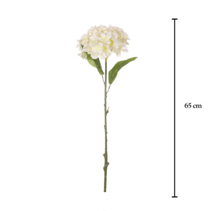 VARA HORTENSIA