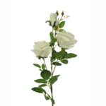 VARA ROSA X 3 LUX *BLANCO