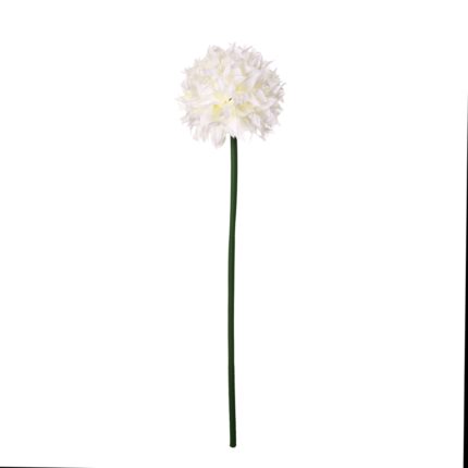 VARA MUN GIGANTE